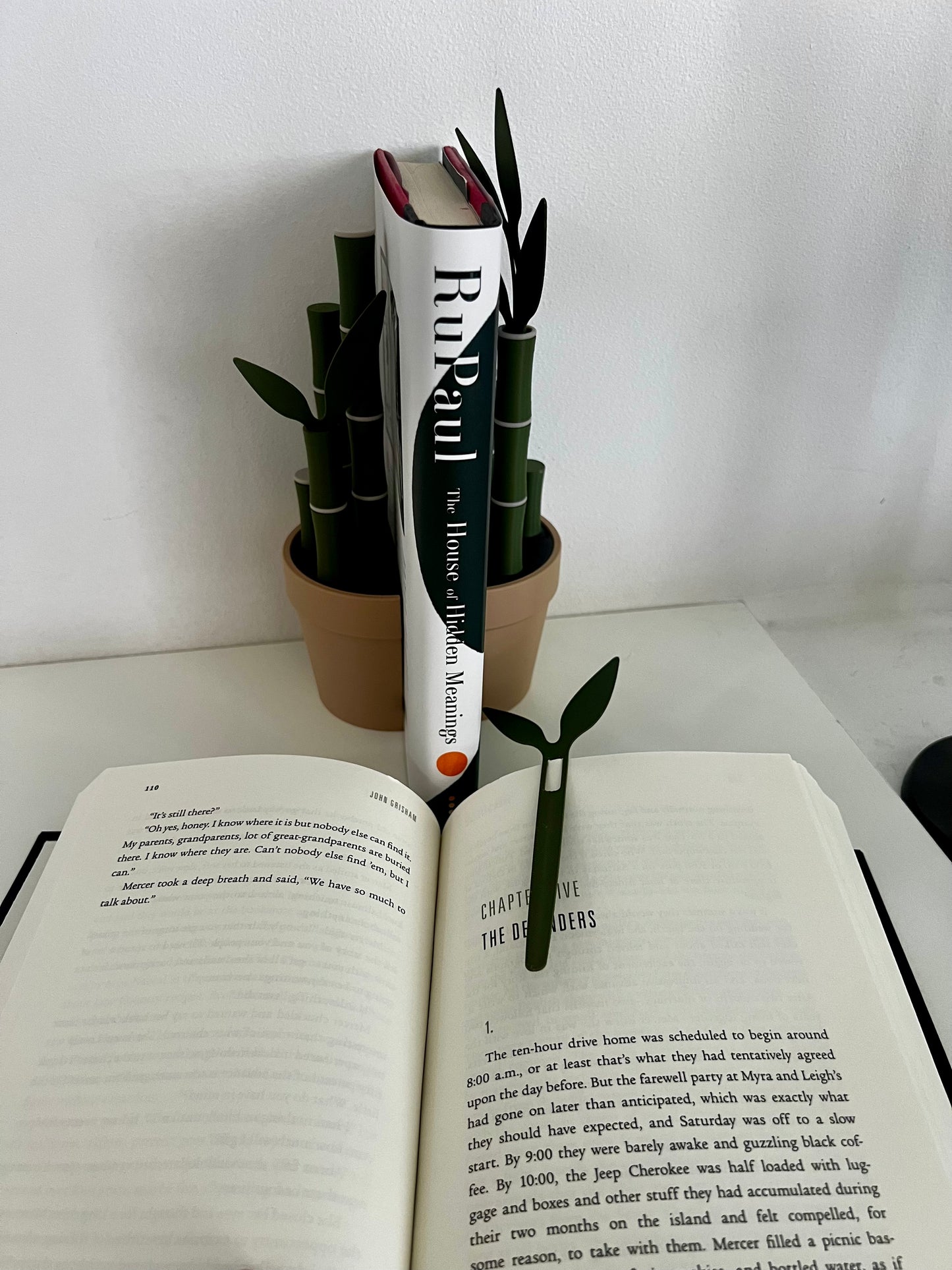 Open book with a bamboo leaf bookmark resting on a page, showcasing the RuPaul book titled 'The House of Hidden Meanings' among potted bamboo décor.