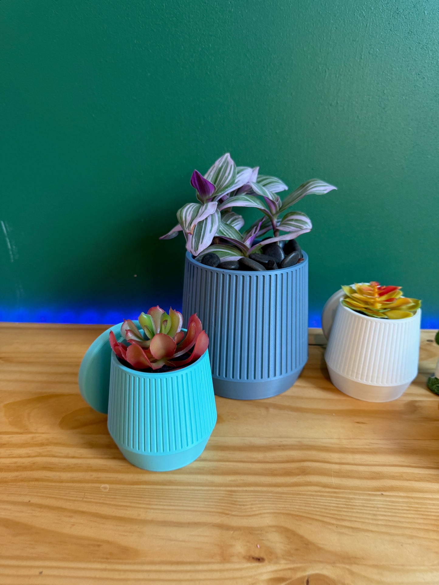 Minimalist Mid-Century Modern wall planter, perfect for adding a refined touch to your décor with a selection of vibrant and neutral hues.
