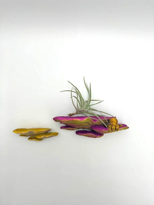 Colorful Shimmering Ostrea Fungus Mushroom Floating Shelf with air plant and octopus figurine, showcasing vibrant pink and yellow tones.