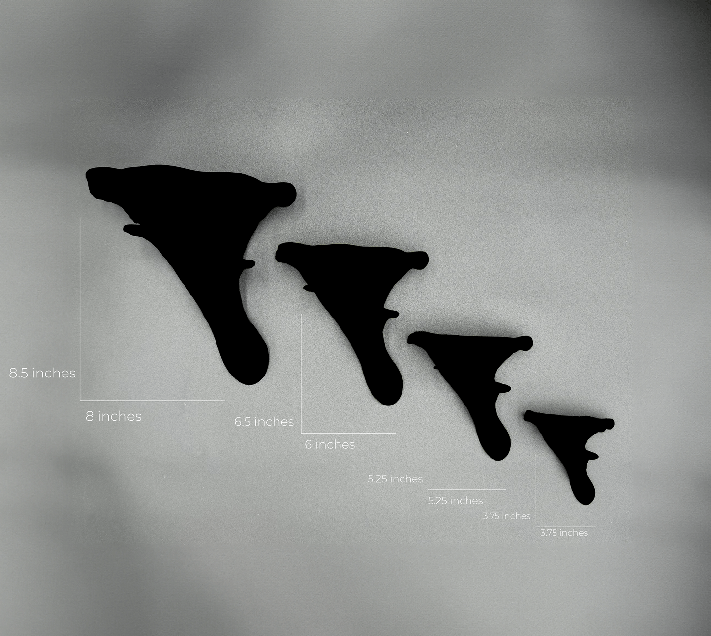 Measuring guide for Glow In The Dark Oyster Fungus themed floating shelves, displaying various sizes from 3.75 inches to 8.5 inches.