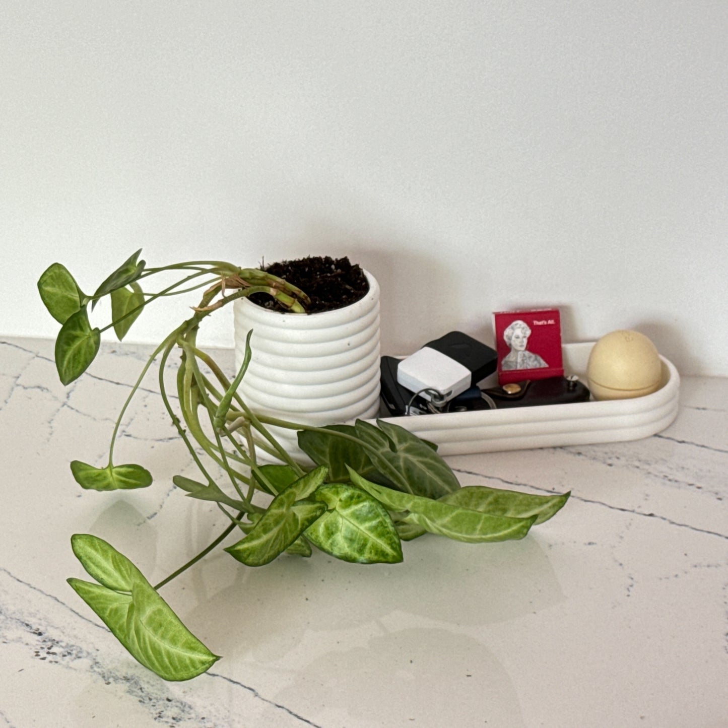 A modern desk organizer featuring a ribbed cylindrical cup and tray, ideal for pens, succulents, or everyday essentials.