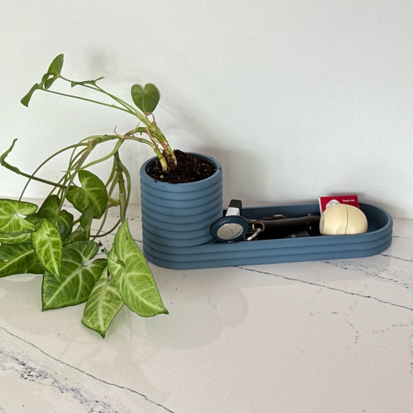 A minimalist storage solution available in 20 colors, designed to serve as a pencil holder, key valet, or plant display.