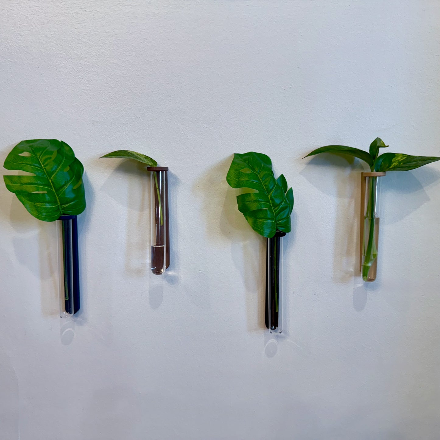 Propagation wall planters for your favorite starter plants.