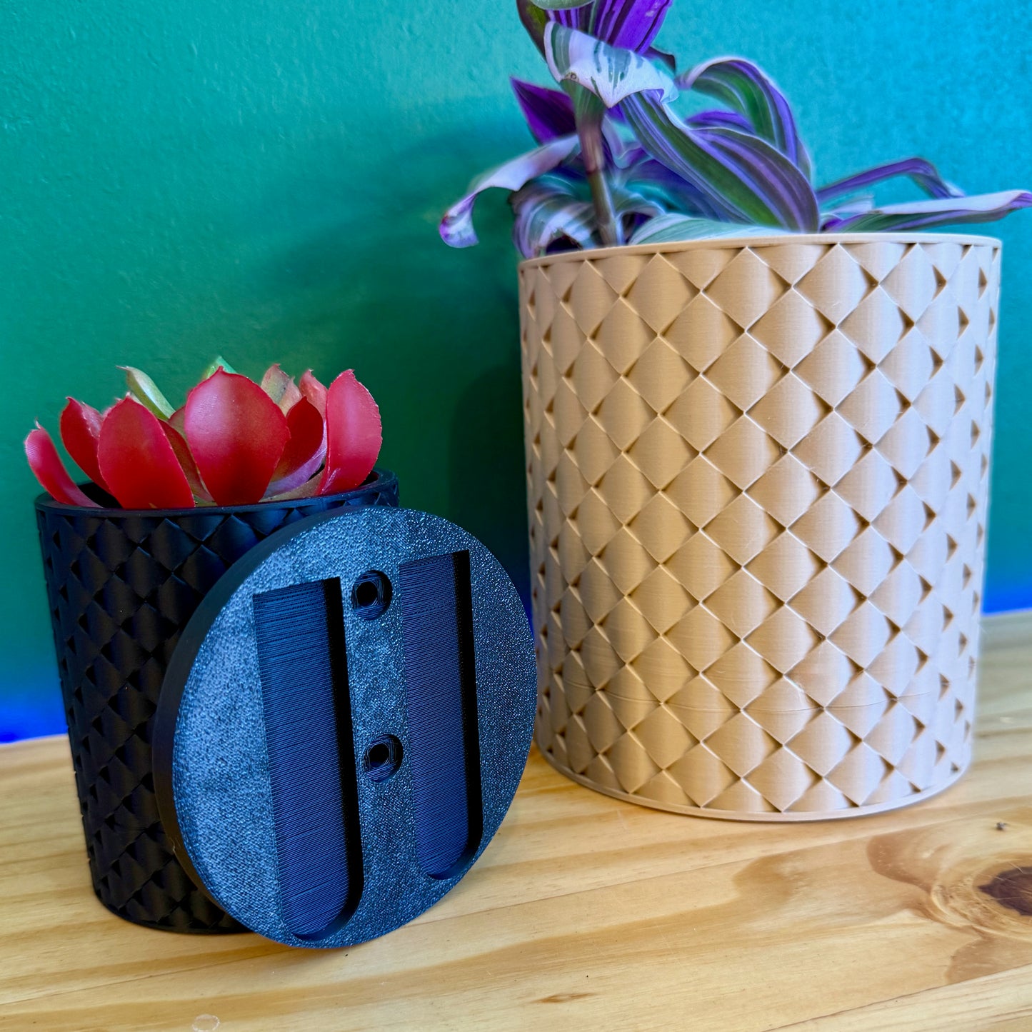 Crafted for plant lovers, this contemporary wall planter is a fusion of durability, elegance, and artistic design.