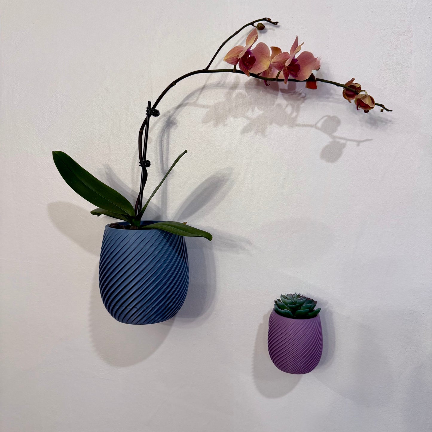 Close-up of a spiral-patterned wall planter with a removable twist-off drip tray, shown in a rich purple and blue color.