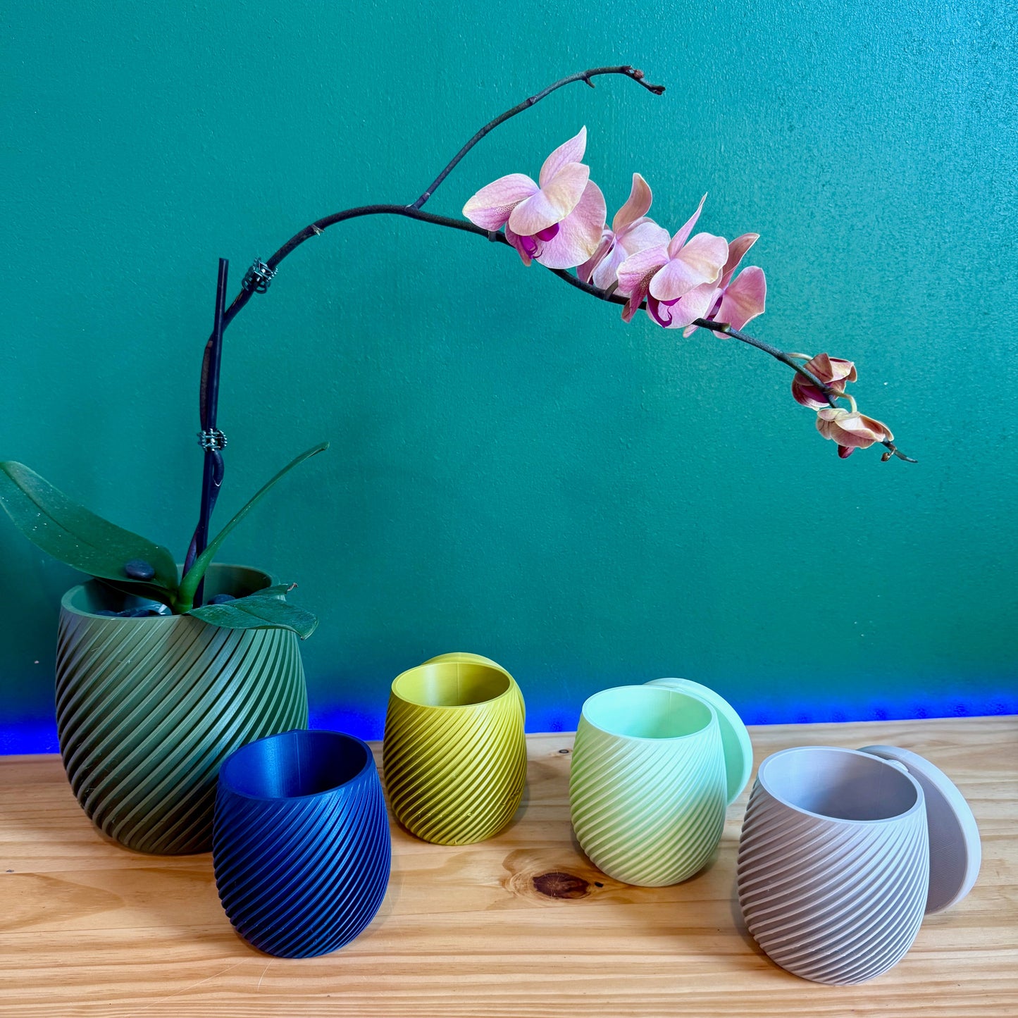 Wall planter with a twist-off base, highlighting its built-in drainage system for easy maintenance.