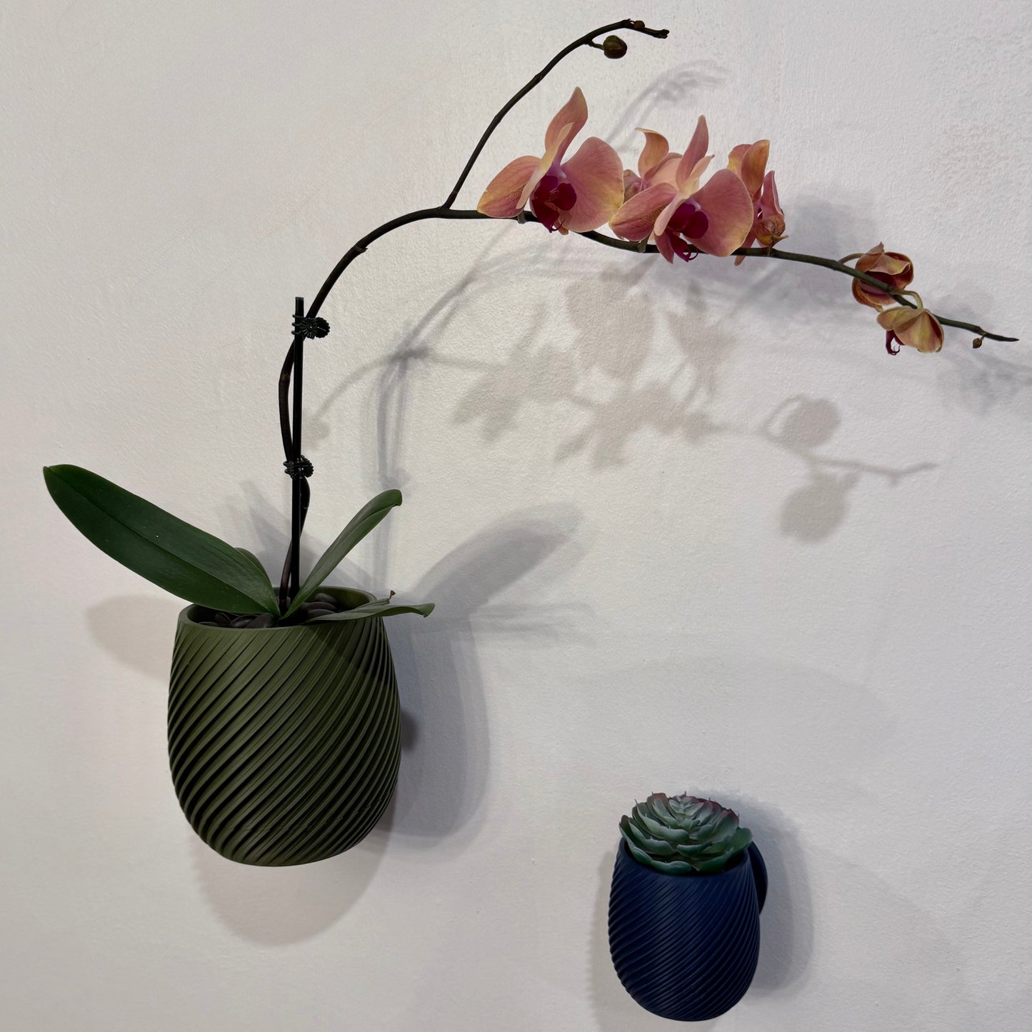 Wall-mounted planter with a detachable water-catching tray, perfect for mess-free plant care.