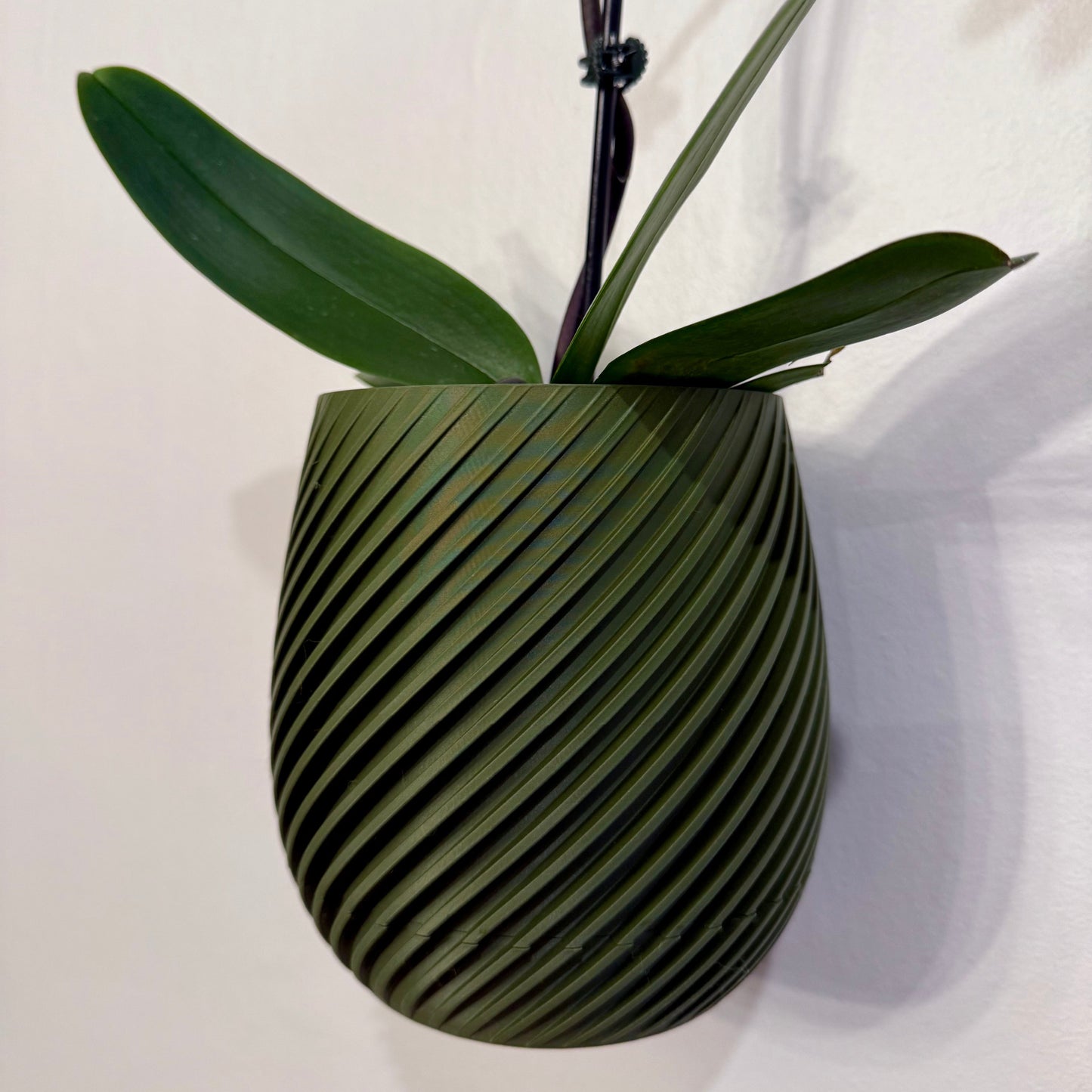 Close-up of a spiral-patterned wall planter with a removable twist-off drip tray, shown in a rich green color.