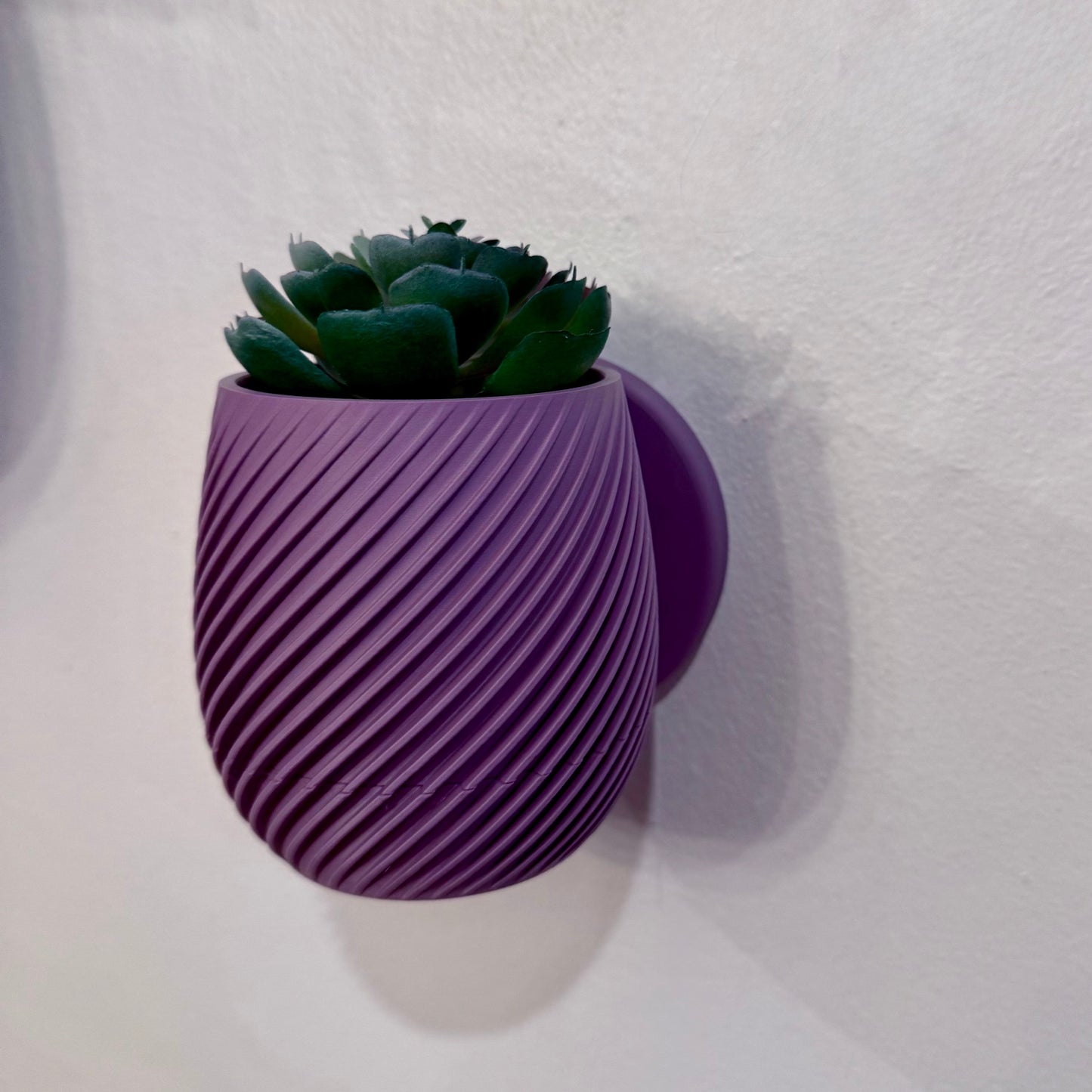 Close-up of a spiral-patterned wall planter with a removable twist-off drip tray, shown in a rich purple color. Elevate your succulents.