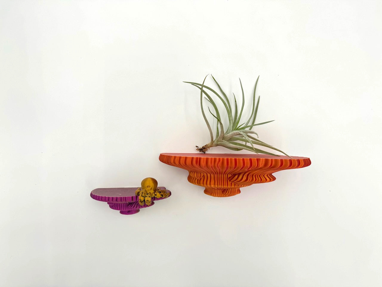 Dual colorful floating shelves in bright orange and purple, showcasing air plants to enhance home decor with a whimsical touch.