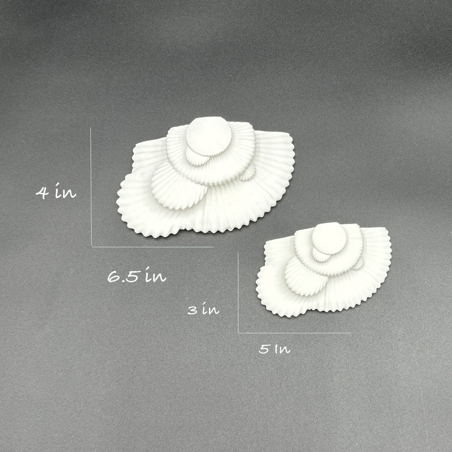 Detailed image of white fungus-inspired shell-shaped shelves with size dimensions, perfect for artistic home decor.