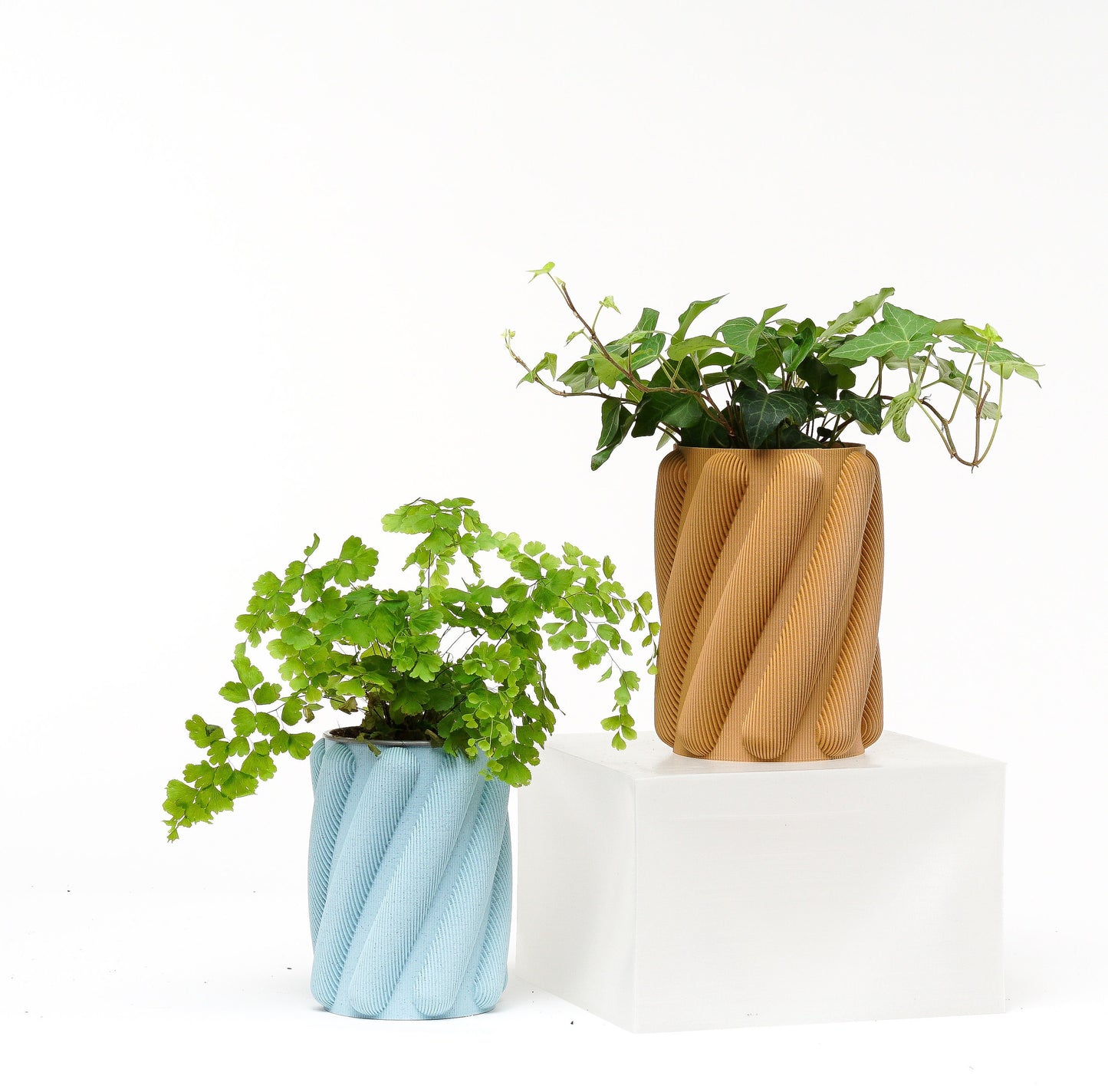 Brehmwood Creative Spaghetti Modern Contemporary Vase by Kowafat.