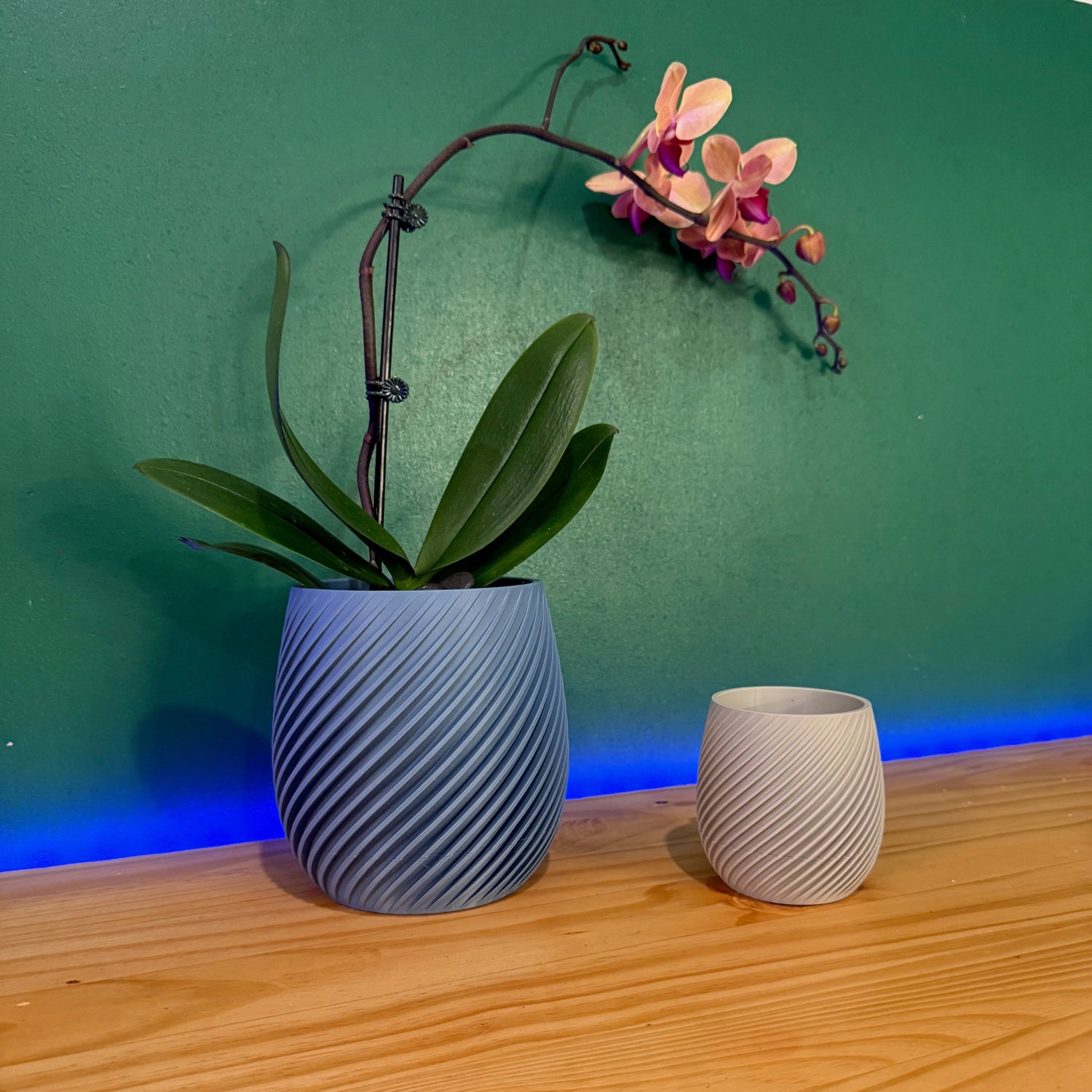 Two creative plant holders featuring a blue textured planter with an orchid and a small white planter, set against a green wall with blue accent lighting