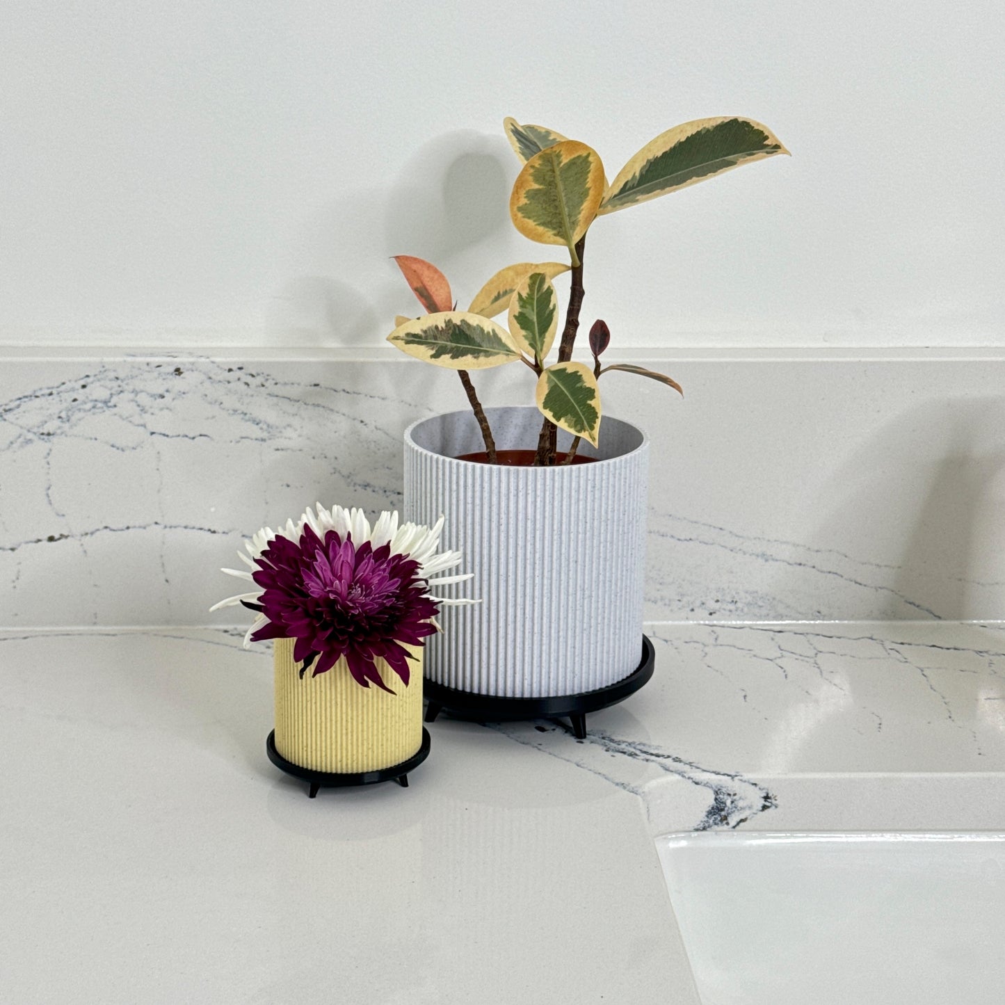 Two Piece Stylish and Modern Marble Cylindrical Planter with Secondary Drip tray | 4 colors available