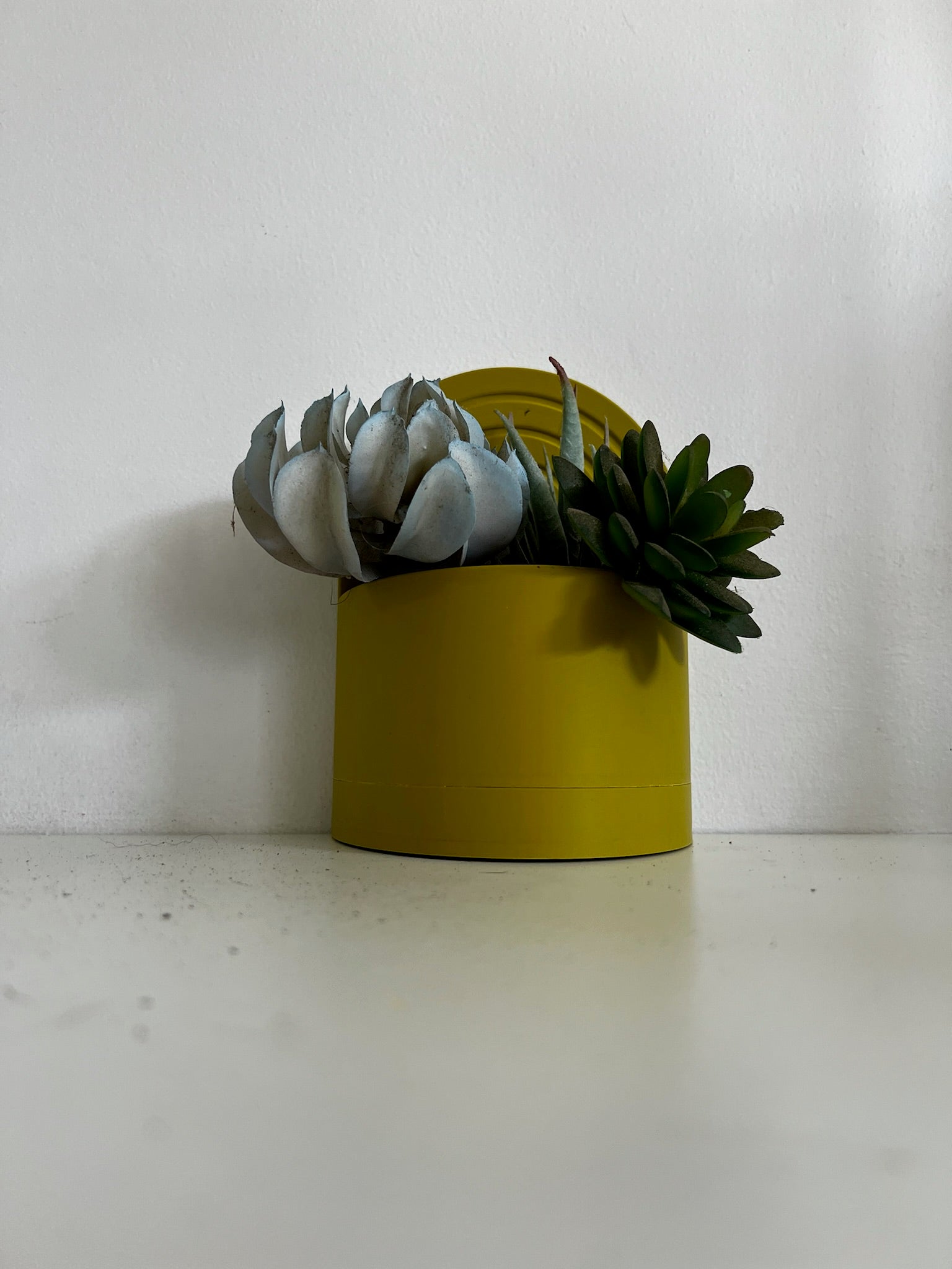 Vibrant yellow arch bookend planter featuring a variety of succulents, set against a white wall.