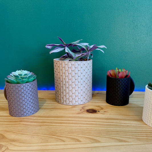 Basketweave Wall Planter with Succulent – A sleek, minimalist planter with a basketweave pattern, ideal for modern and contemporary spaces. Available in a variety of colors.
