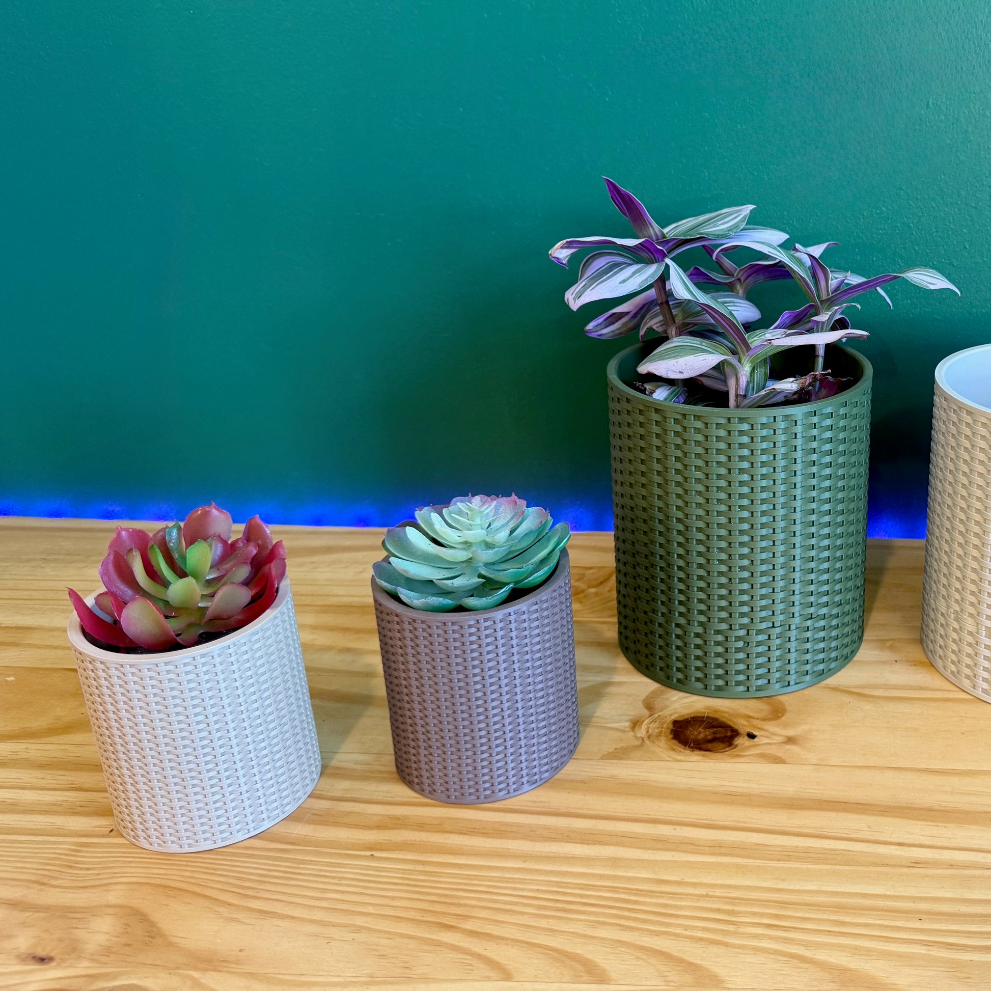 Basketweave Planter with Faux Succulent – A durable and elegant planter with a subtle woven design, great for small plants and herbs.