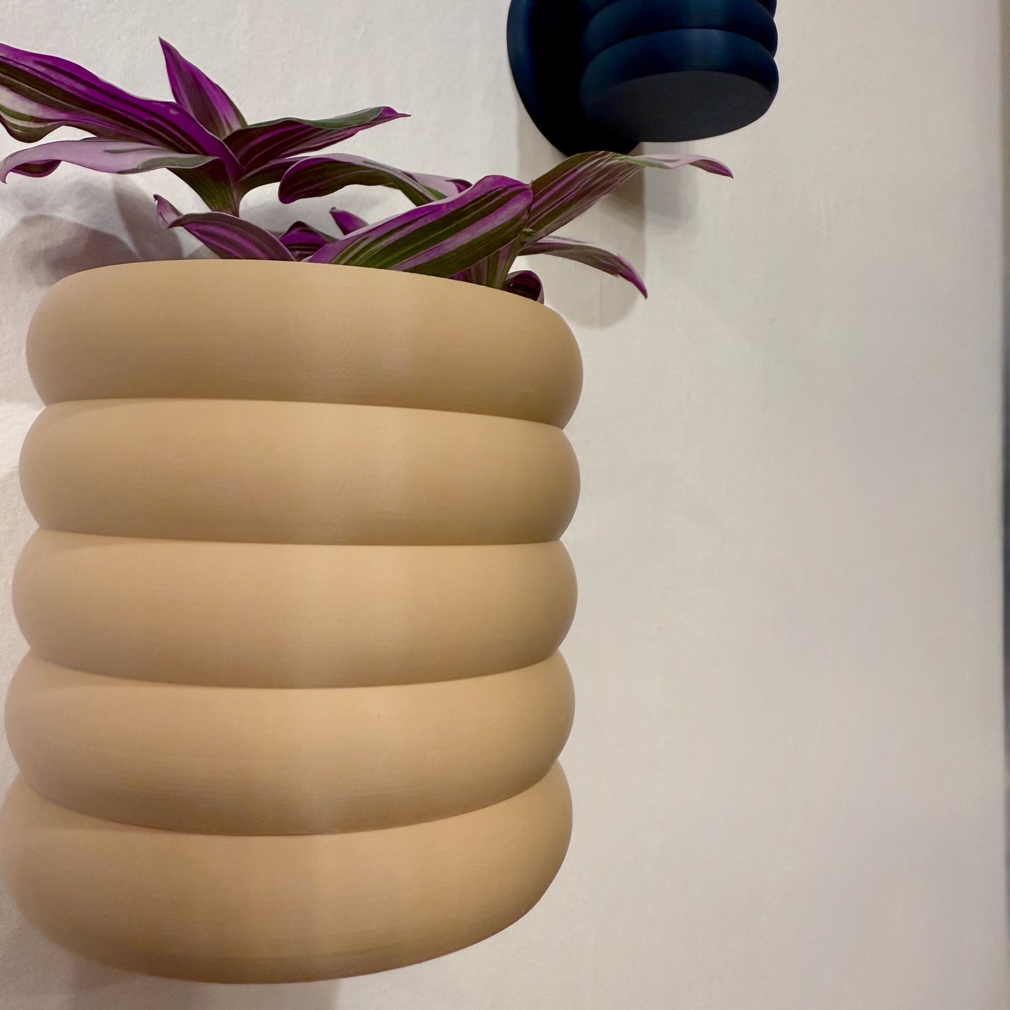 Curvy, modern wall planter with a sleek round shape, designed by Lofted Goods and available in a variety of colors.