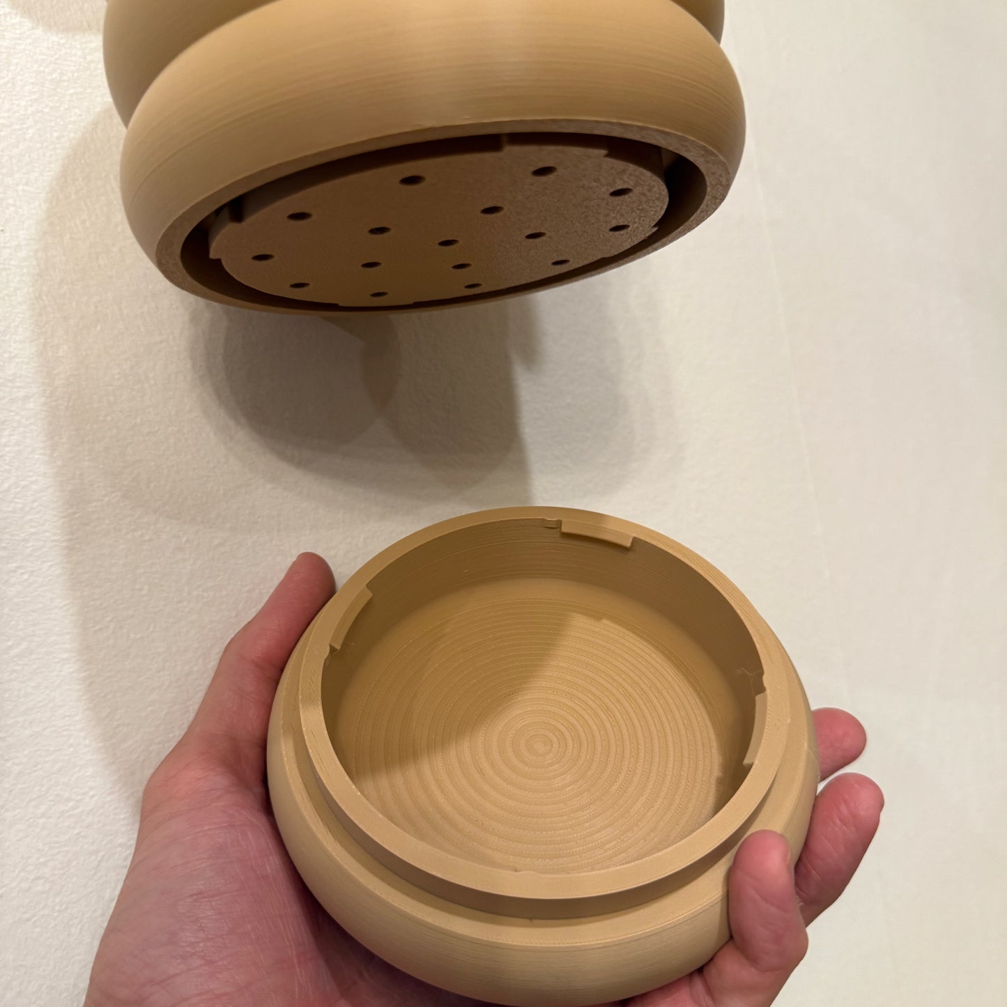 Stylish wall-mounted planter with soft curves and poppy-inspired detailing, perfect for adding a playful touch to any space. With a removable tray for easy upkeep.