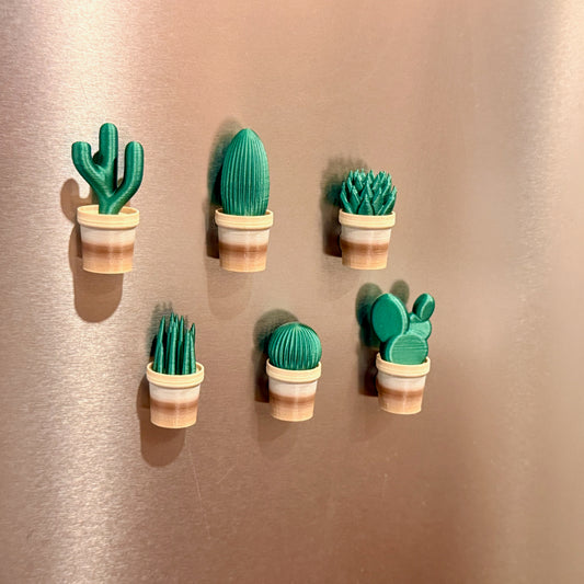 Mini Cactus Plant Pot Collection - Set of 6 Fridge Magnets featuring adorable miniature cactus designs, perfect for adding charm to any magnetic surface with cactus fridge magnets.