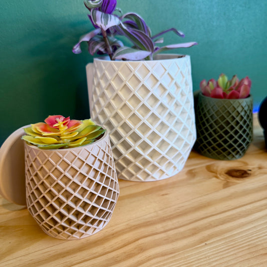 A modern lattice-patterned wall planter that adds architectural depth and dimension while showcasing your favorite plants