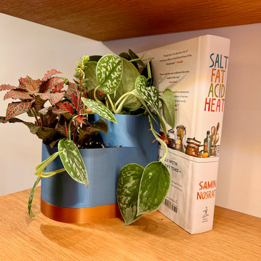 Potted plant next to an open book titled 'Salt, Fat, Acid, Heat' on a wooden surface.