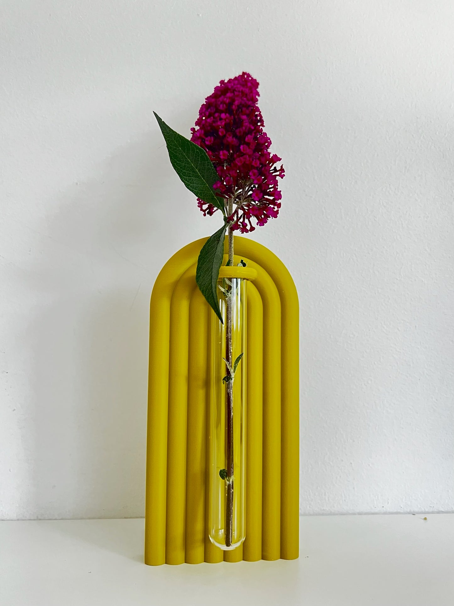 Chic propagation bookend set with vibrant colors, featuring plant cuttings in glass tubes against classic books.