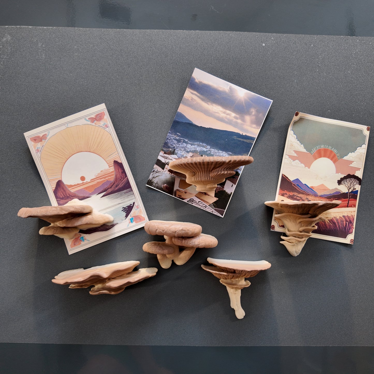 Mushroom Fridge Magnets Kit | Set of 6 | Kitchen Decor | Nature Inspired | Cottage Core