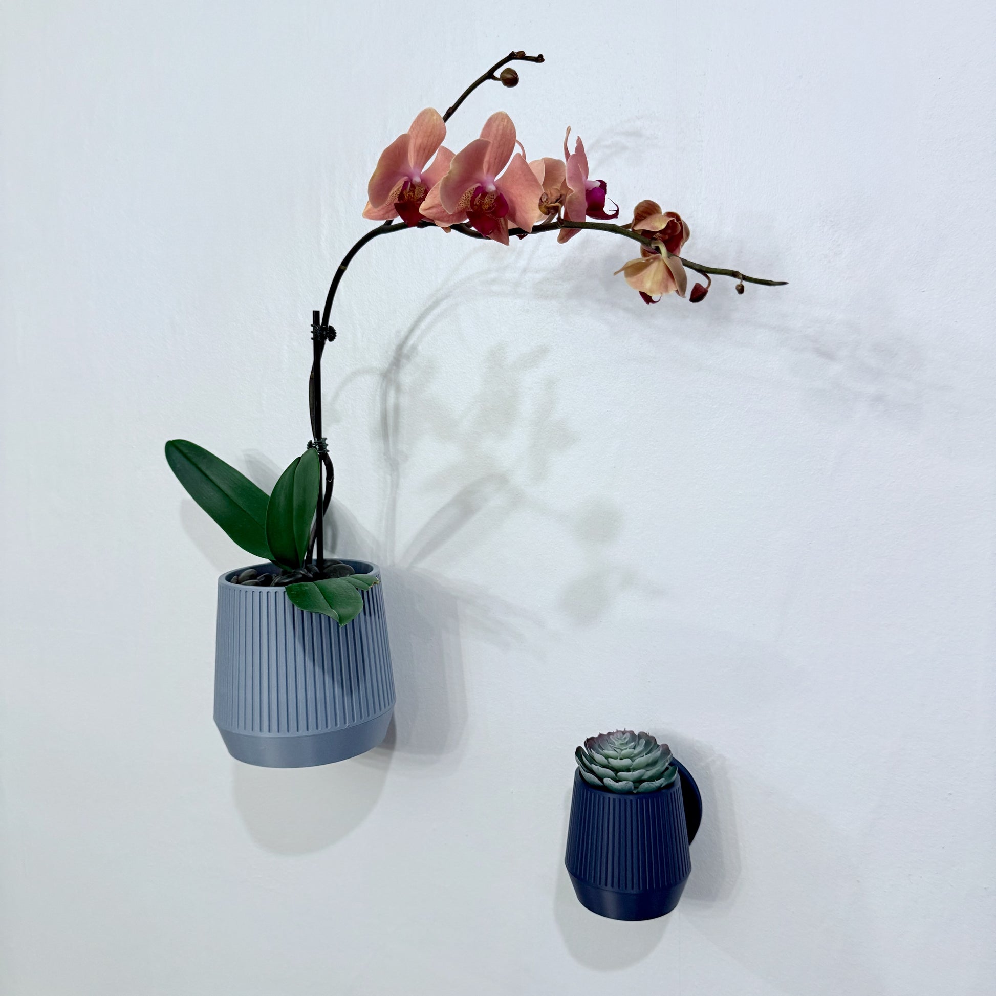 Minimalist Mid-Century Modern wall planter, perfect for adding a refined touch to your décor with a selection of vibrant and neutral hues.