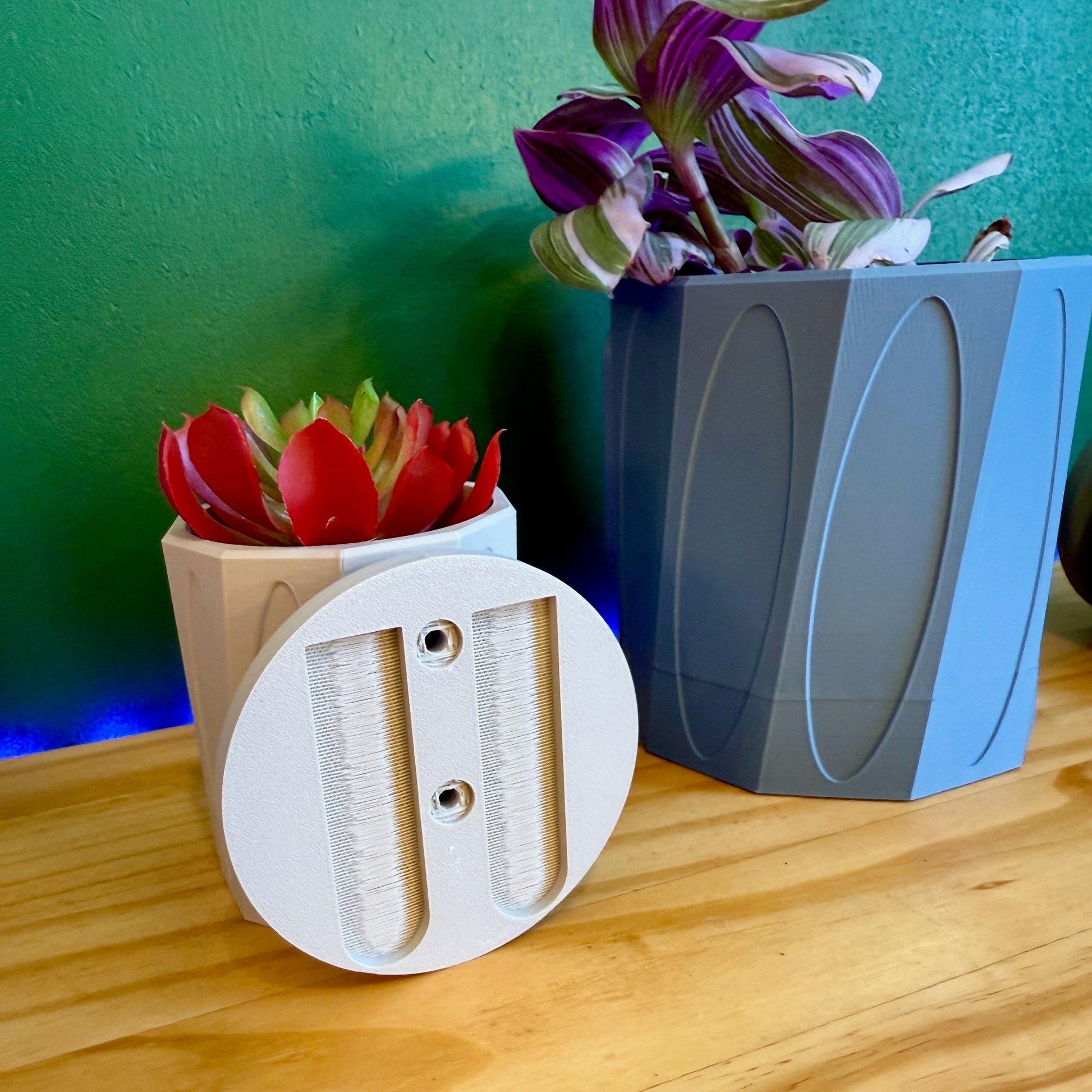 Sleek, single-color wall planter with a bold, sculptural design, perfect for adding a modern touch to any space.