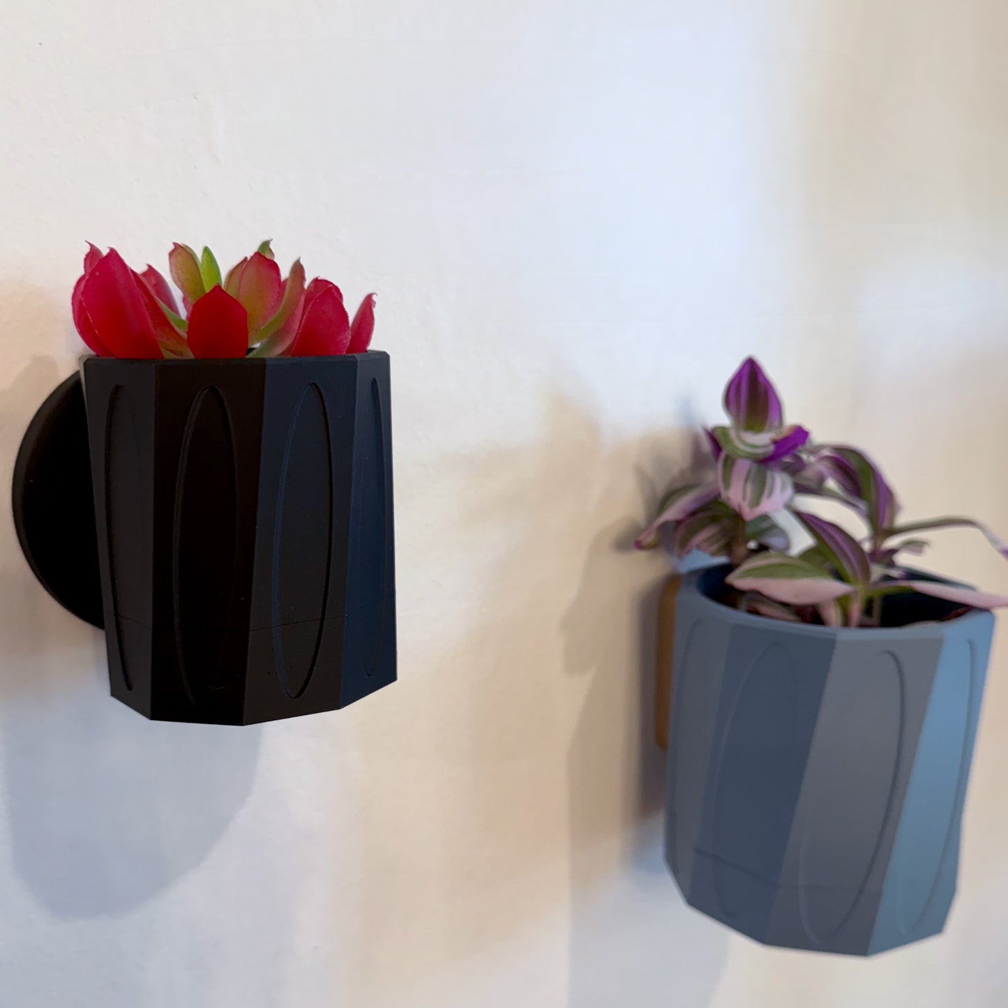 Minimalist wall planter featuring an artistic, seamless design, available in 20 stylish color options.