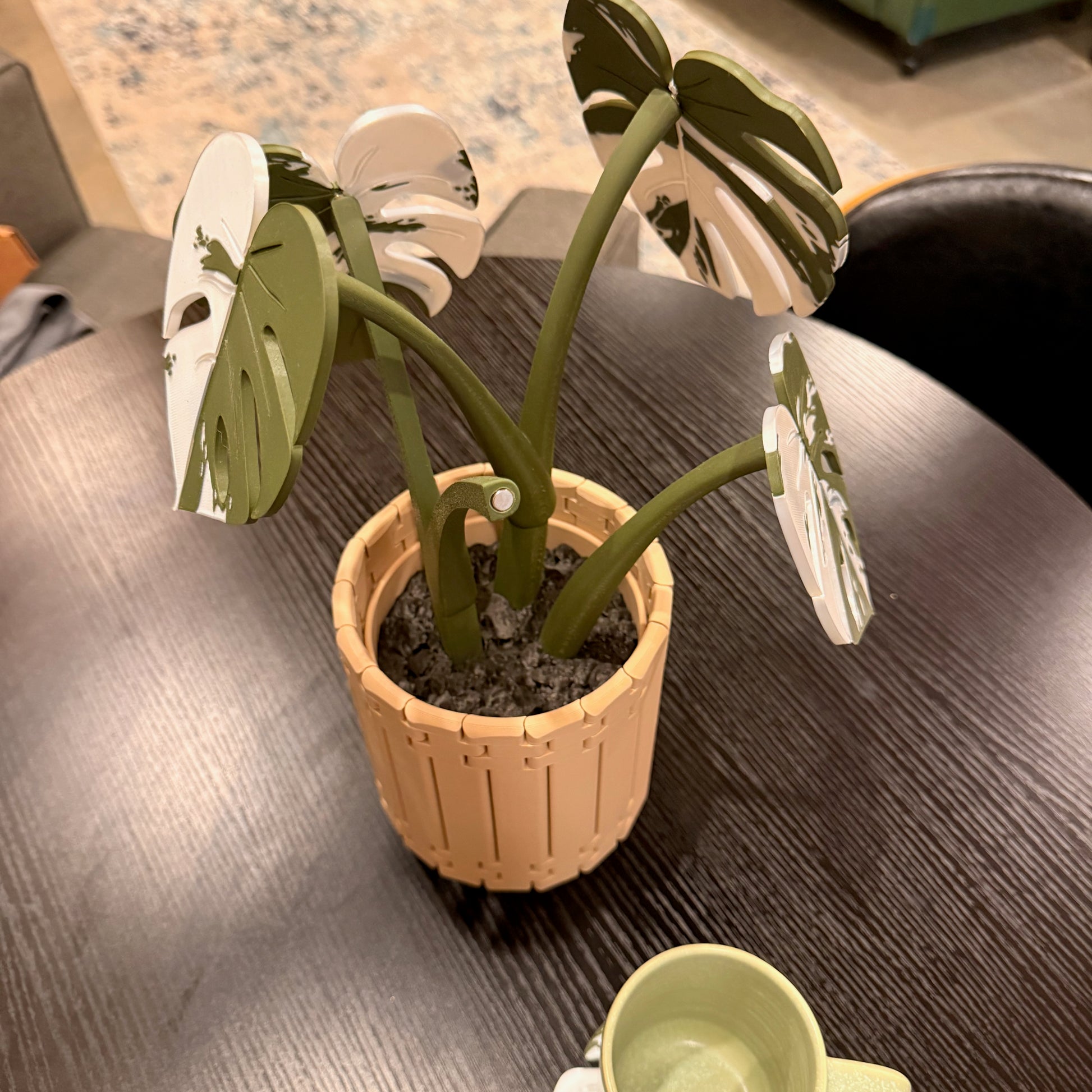 Top view of the Variegated Monstera Coaster Set nestled in a decorative pot, highlighting its unique design.