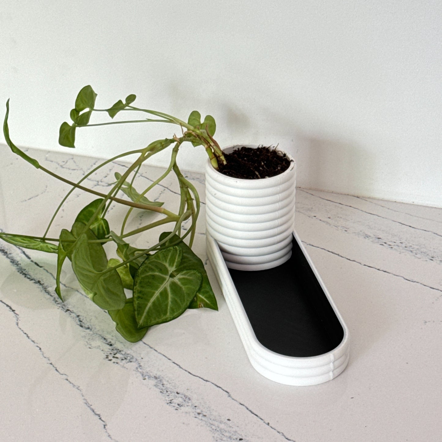 Mini Planter and Key Valet or Desk Organizer combination with optional inlay | 20 colors available