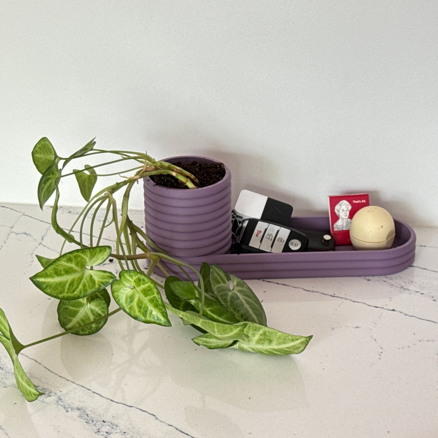 Mini Planter and Key Valet or Desk Organizer combination with optional inlay | 20 colors available