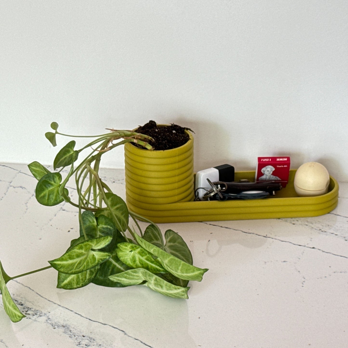 Mini Planter and Key Valet or Desk Organizer combination with optional inlay | 20 colors available