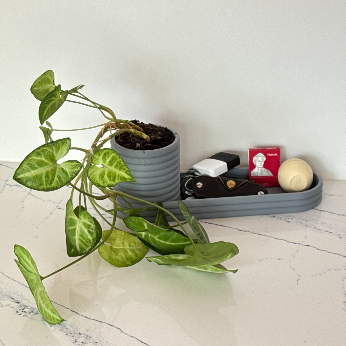 Mini Planter and Key Valet or Desk Organizer combination with optional inlay | 20 colors available