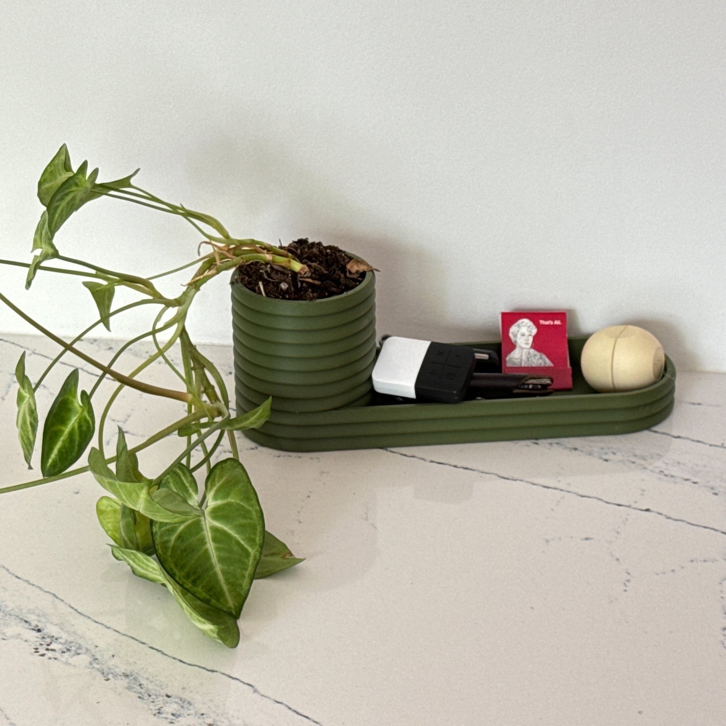 Mini Planter and Key Valet or Desk Organizer combination with optional inlay | 20 colors available