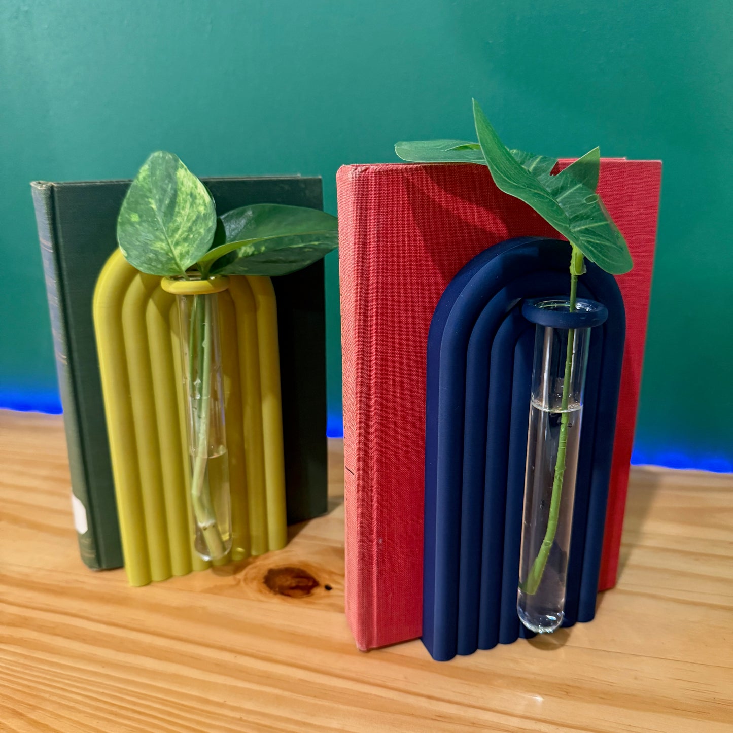 Propagation Bookend Set with Built-In Glass Tubes for Plant Lovers – 20 Colors Available!