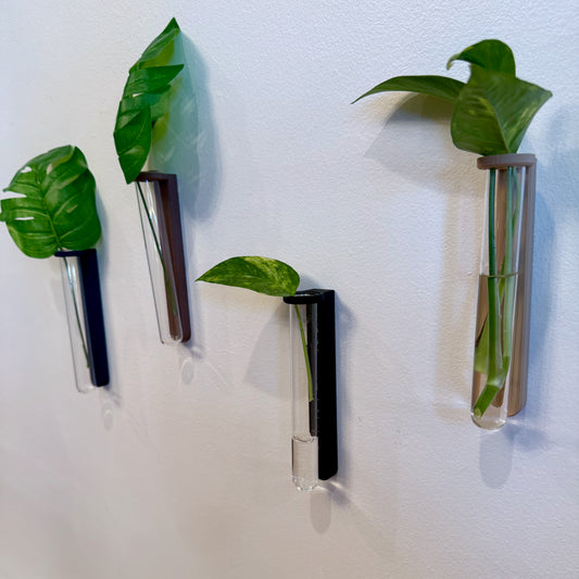 Wall-mounted test tube planters, designed for modern plant lovers who want to propagate cuttings in style