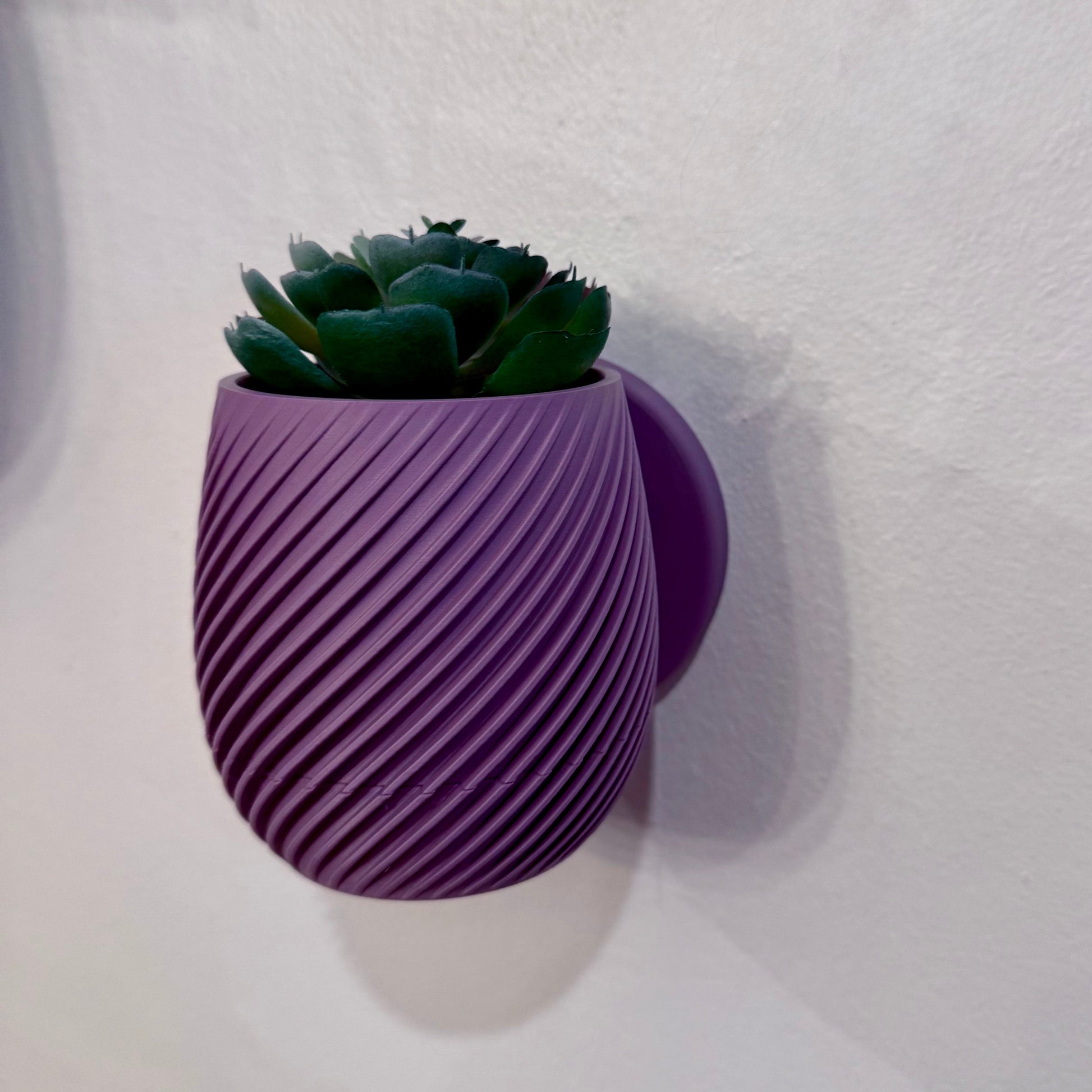 Close-up of a spiral-patterned wall planter with a removable twist-off drip tray, shown in a rich purple color. Elevate your succulents.
