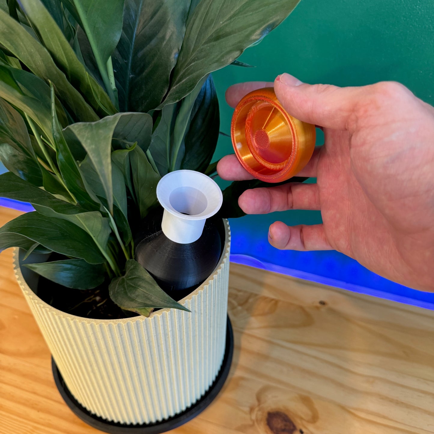 Hand holding the removable cap of the Toadstool Water Spike, demonstrating the innovative plant watering spike design in a planter.