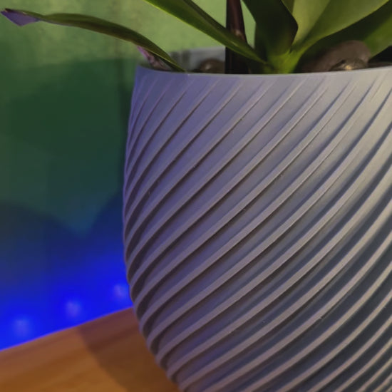 Close-up of a spiral-patterned wall planter with a removable twist-off drip tray.
