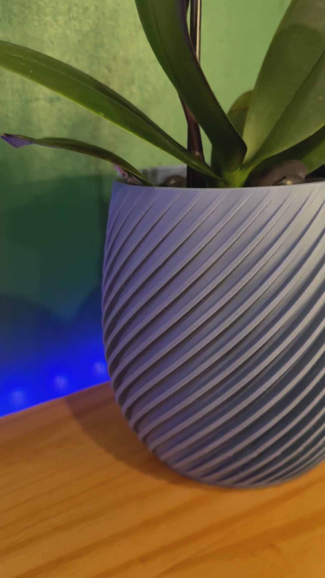 Close-up of a spiral-patterned wall planter with a removable twist-off drip tray.