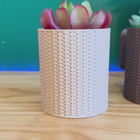 Textured Basketweave Wall Planter in Earthy Colors – A modern yet timeless planter available in multiple hues to suit any décor style.