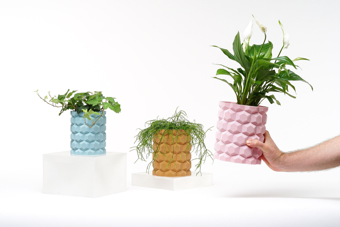 Brehmwood Creative Hexagonal Modern Contemporary Vase by Kowafat.