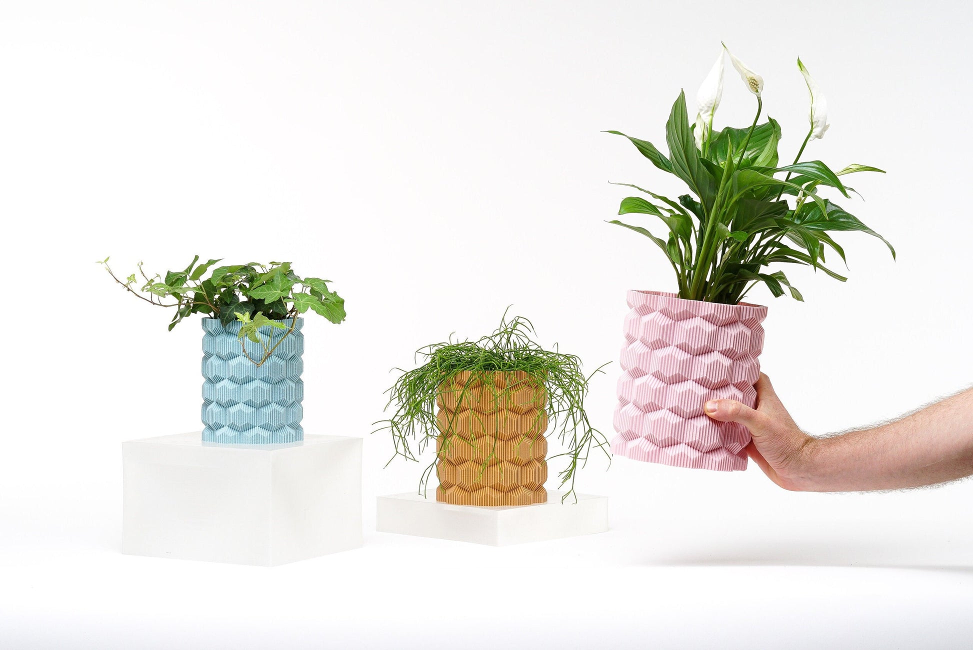Brehmwood Creative Hexagonal Modern Contemporary Vase by Kowafat.