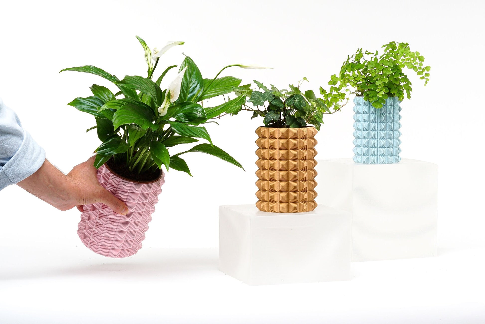 Brehmwood Creative Porcupine Modern Contemporary Vase by Kowafat available in 20 matte colors.