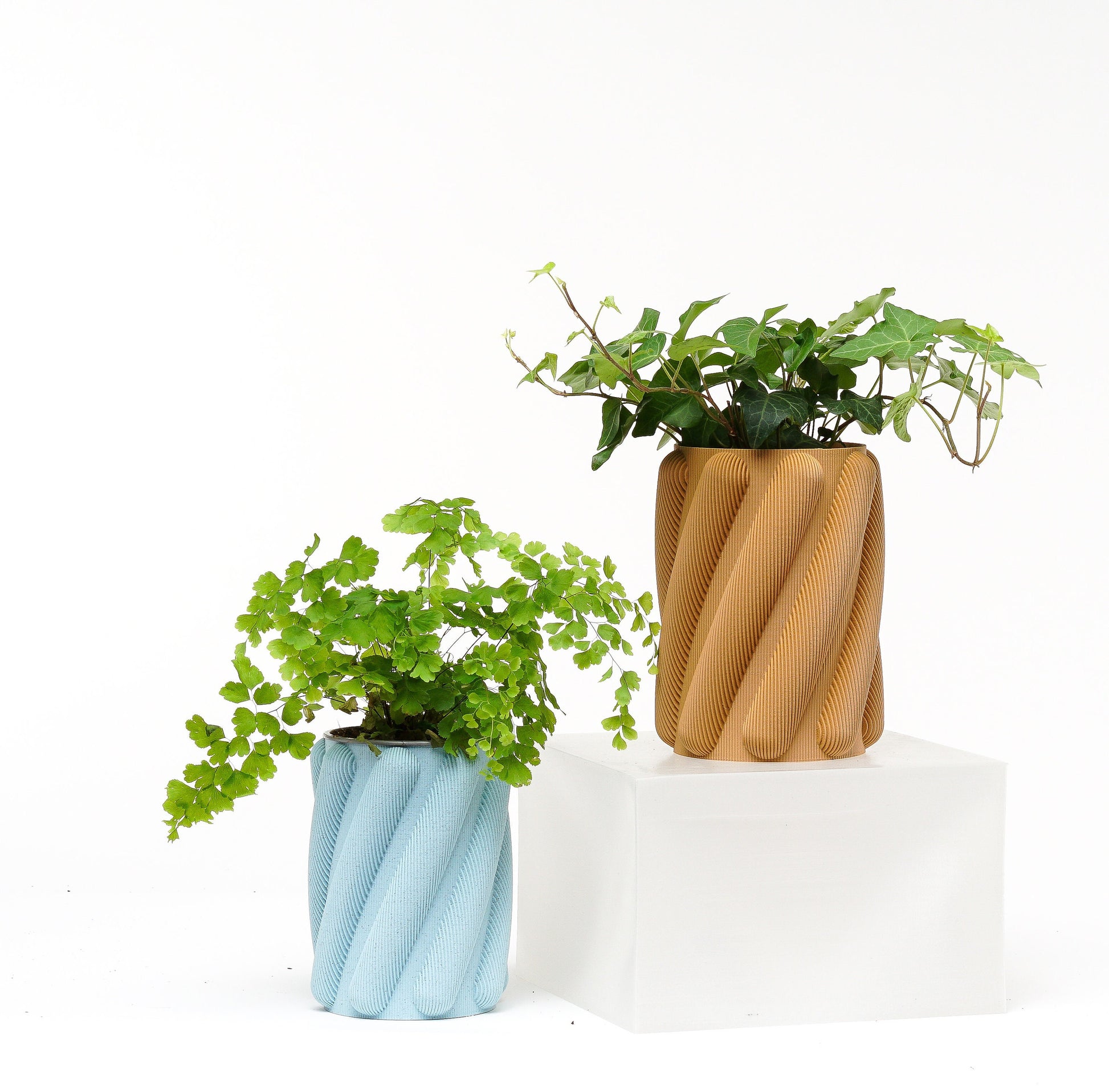 Brehmwood Creative Spaghetti Modern Contemporary Vase by Kowafat.
